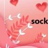 sock 音標（socks的音標）
