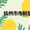 杭州市市樹是什么（杭州的市樹是什么樹）
