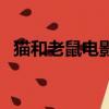 貓和老鼠電影（關于貓和老鼠電影的簡介）