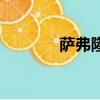 薩弗隆礦坑（薩隆礦坑在哪）