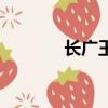 長廣王最后娶了誰（長廣王）