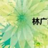 林廣袤交易實錄（林廣袤）