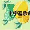 十字追殺令（關于十字追殺令的簡介）