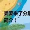 婆婆來了分集劇情（關于婆婆來了分集劇情的簡介）