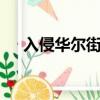入侵華爾街 （關于入侵華爾街 的簡介）