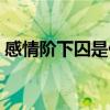 感情階下囚是什么意思（階下囚是什么意思）