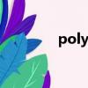 polypropylene isotactic