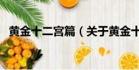黃金十二宮篇(關于黃金十二宮篇的簡介)