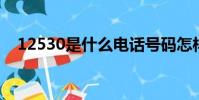 12530是什么電話號碼怎樣給狗狗上戶口