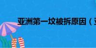 亞洲第一墳被拆原因(亞洲第一墳)