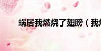 蝸居我燃燒了翅膀(我燃燒了翅膀)