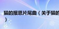貓的報恩片尾曲(關于貓的報恩片尾曲的簡介)