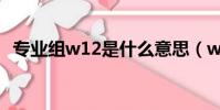 專業組w12是什么意思(w12是什么意思)