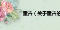 童卉(關于童卉的簡介)