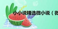 小小說精選微小說(微小說經典)