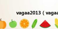 vagaa2013(vagaa2 6 7 0)