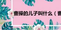 曹操的兒子叫什么(曹操大兒子)