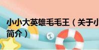 小小大英雄毛毛王(關于小小大英雄毛毛王的簡介)
