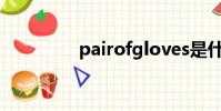 pairofgloves是什么意思