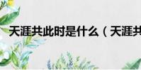 天涯共此時是什么(天涯共此時什么意思)