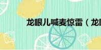 龍眼兒喊麥驚雷(龍眼兒喊麥)