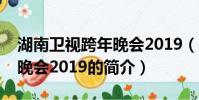 湖南衛視跨年晚會2019(關于湖南衛視跨年晚會2019的簡介)