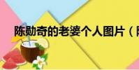 陳勛奇的老婆個人圖片(陳勛奇的老婆)