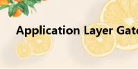 Application Layer Gateway Service