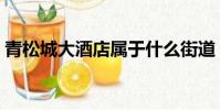 青松城大酒店屬于什么街道(青松城大酒店)