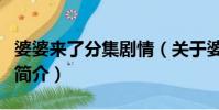 婆婆來了分集劇情(關于婆婆來了分集劇情的簡介)