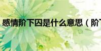 感情階下囚是什么意思(階下囚是什么意思)