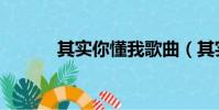其實你懂我歌曲(其實你懂我)