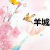 羊城旅游攻略（羊城之旅）