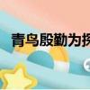 青鳥殷勤為探看的讀音（青鳥殷勤為探看）