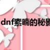 dnf素喃的秘影長劍外觀（dnf素喃秘影長劍）