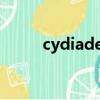 cydiadeb下載（cydia中文補丁）