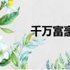 千萬富豪（關于千萬富豪的簡介）