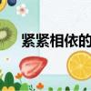 緊緊相依的心如何say（緊緊相依的心）