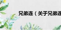 兄弟連(關于兄弟連的簡介)
