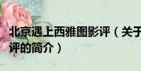 北京遇上西雅圖影評(關于北京遇上西雅圖影評的簡介)
