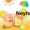 Noytsong V350（noytson）