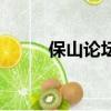 保山論壇（關于保山論壇的簡介）