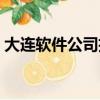大連軟件公司招聘信息查詢（大連軟件公司）