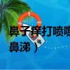 鼻子癢打噴嚏流鼻涕怎么辦（鼻子癢打噴嚏流鼻涕）