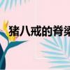 豬八戒的脊梁骨打一成語（豬八戒的脊梁）