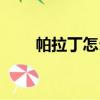 帕拉丁怎么樣老款（帕拉丁怎么樣）