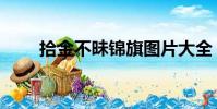 拾金不昧錦旗圖片大全(拾金不昧)