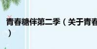 青春糖伴第二季(關于青春糖伴第二季的簡介)