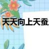 天天向上天蠶土豆全集（天天向上天蠶土豆）
