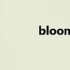 bloom（關于bloom的簡介）